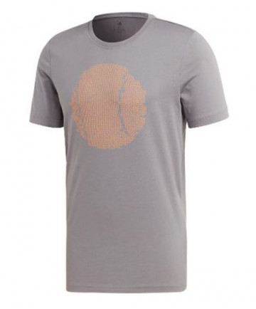 Adidas Men's Flushing GFX T-Shirt-Grey EJ6336