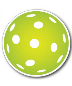 Racquet Inc. Pickleball Magnet- Green  RITG38